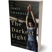 3D view of Premade Mystery & Thriller & Suspense Book Cover - Log Cabin