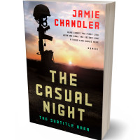 3D view of Akaroa #30820 - Premade Historical Book Cover