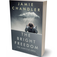 Tablet view of Abbey #30939 - Premade Business Book Cover