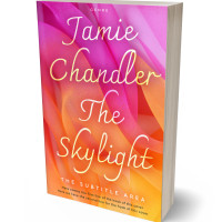 3D view of Premade Abstract Book Cover - Burnt Sienna