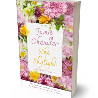 3D view of Dust Storm #31028 - Premade Poetry Book Cover