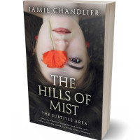 3D view of Premade Teen & Young Adult Book Cover - Rodeo Dust