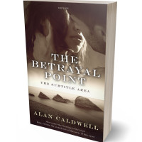 3D view of Premade Romance Book Cover - English Walnut