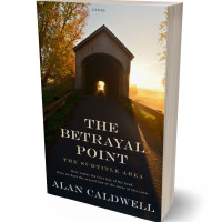 3D view of Premade Literary Fiction Book Cover - Akaroa