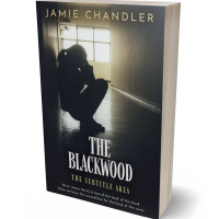 Tablet view of Shark #31335 - Premade Teen & Young Adult Book Cover