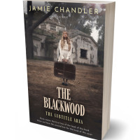 3D view of Merlin #31336 - Premade Horror Book Cover