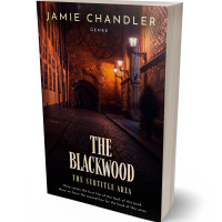 3D view of Premade Mystery & Thriller & Suspense Book Cover - Antique Brass