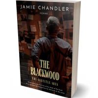 3D view of Premade Mystery & Thriller & Suspense Book Cover - Night Rider