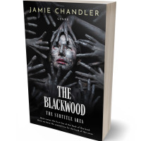 3D view of Woodsmoke #31341 - Premade Surreal Book Cover