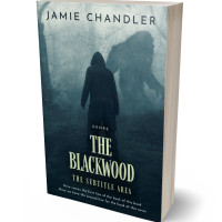 3D view of Powder Ash #31344 - Premade Horror Book Cover | BookCoverZone