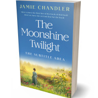 3D view of Steel Blue #31358 - Premade Historical Book Cover