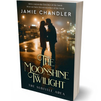 3D view of Premade Romance Book Cover - Log Cabin