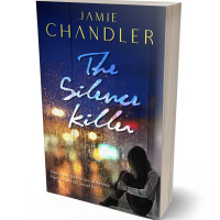 3D view of Premade Teen & Young Adult Book Cover - Ebony Clay