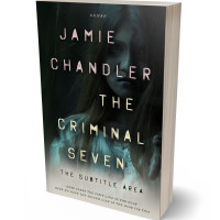 3D view of Premade Horror Book Cover - Kangaroo