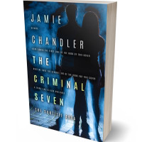 3D view of Premade Mystery & Thriller & Suspense Book Cover - Firefly