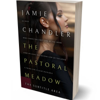 3D view of Premade Romance Book Cover - Zeus