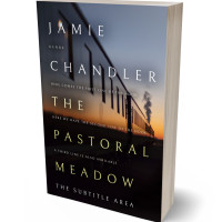 3D view of Premade Historical Book Cover - Baltic Sea