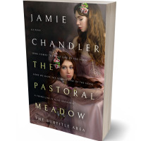 3D view of Premade Historical Book Cover - Cocoa Brown