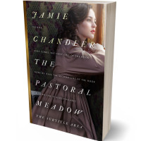 3D view of Premade Romance Book Cover - Dune