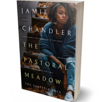 3D view of Premade Teen & Young Adult Book Cover - Heavy Metal