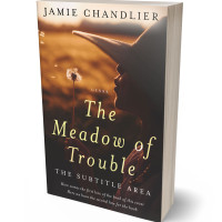 3D view of Premade Literary Fiction Book Cover - Tumbleweed