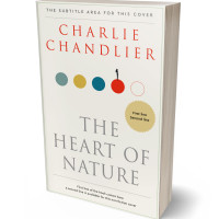 3D view of Premade Self-Improvement & Self-Help Book Cover - White Rock