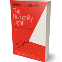 3D view of Premade Business Book Cover - Cinnabar