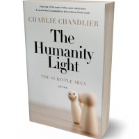 3D view of Premade Business Book Cover - Cloud