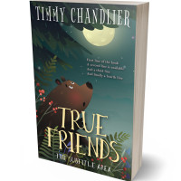 3D view of Cape Cod #31680 - Premade Nature Book Cover