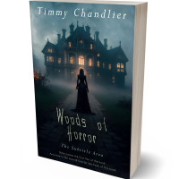 3D view of Premade Mystery & Thriller & Suspense Book Cover - Mirage