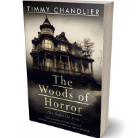 3D view of Premade Horror Book Cover - Soft Amber
