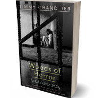 3D view of Premade Horror Book Cover - Cod Gray