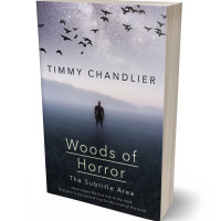 3D view of Premade Mystery & Thriller & Suspense Book Cover - Ebony Clay