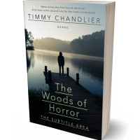 Tablet view of Shark #31738 - Premade Teen & Young Adult Book Cover