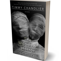 3D view of Premade Mystery & Thriller & Suspense Book Cover - Mine Shaft