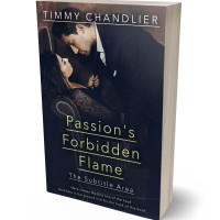 3D view of Premade Romance Book Cover - Mirage