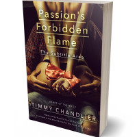 3D view of Premade Erotica Book Cover - Twine