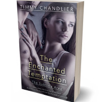 3D view of Premade Erotica Book Cover - Ship Gray