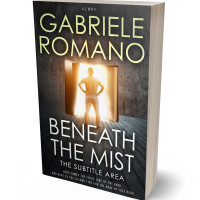 3D view of Premade Fantasy Book Cover - Brandy