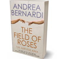 3D view of Premade Abstract Book Cover - Sisal