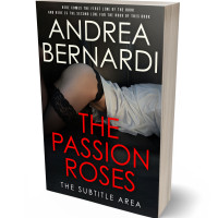 3D view of Premade Erotica Book Cover - My Pink