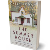 3D view of Premade Literary Fiction Book Cover - Ash