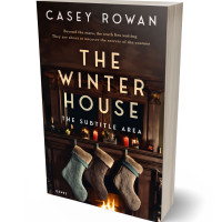 3D view of Premade Literary Fiction Book Cover - Night Rider #31890 | BookCoverZone