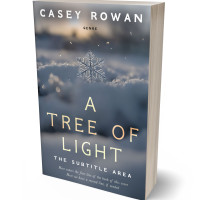 3D view of Premade Literary Fiction Book Cover - Shuttle Gray #31894 | BookCoverZone