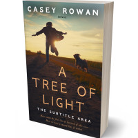 3D view of Premade Action & Adventure Book Cover - Calico