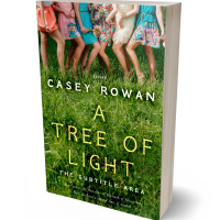 Tablet view of Dell #31902 - Premade Teen & Young Adult Book Cover