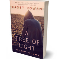 3D view of Premade Teen & Young Adult Book Cover - Zinnwaldite