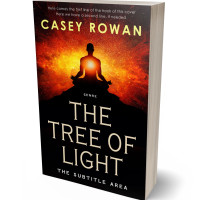 Tablet view of Asphalt #31910 - Premade Health & Mind & Body Book Cover