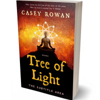 3D view of Premade Religion & Spirituality Book Cover - Graphite