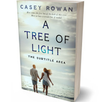 3D view of Premade Romance Book Cover - Tasman